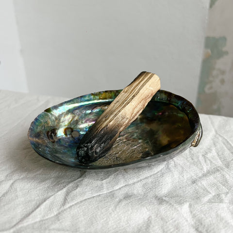 ABALONIA Schmuck-Schale | Echte Muschel Premiumqualität